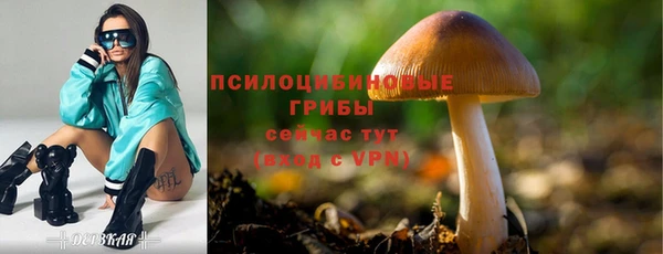 ПСИЛОЦИБИНОВЫЕ ГРИБЫ Алексеевка