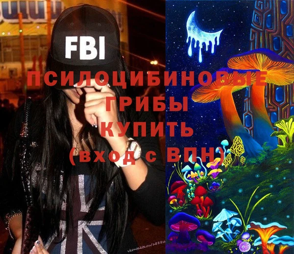 ПСИЛОЦИБИНОВЫЕ ГРИБЫ Алексеевка